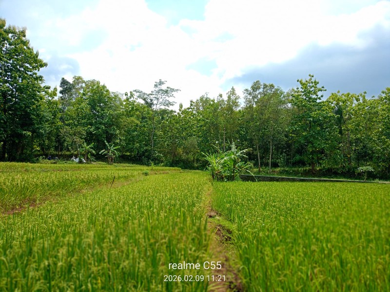 Dijual Tanah Luas 2.485 Meter Persegi di Jalur Utama Patuk  Investasi di Beji, Patuk, Gunungkidul