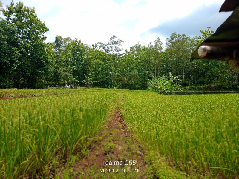 Dijual Tanah Luas 2.485 Meter Persegi di Jalur Utama Patuk  Investasi di Beji, Patuk, Gunungkidul