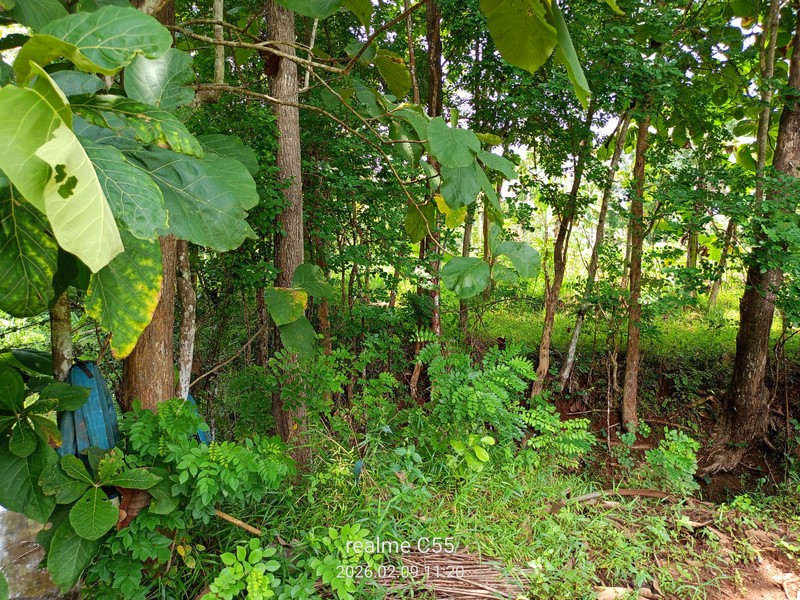 Dijual Tanah Luas 2.485 Meter Persegi di Jalur Utama Patuk  Investasi di Beji, Patuk, Gunungkidul