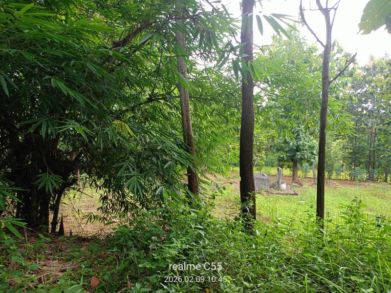 Lahan Luas 1 Hektar Lebih di Jalur Utama Patuk Dengan Rumah & Pohon Jati, Beji, PAtuk, Gunung Kidul