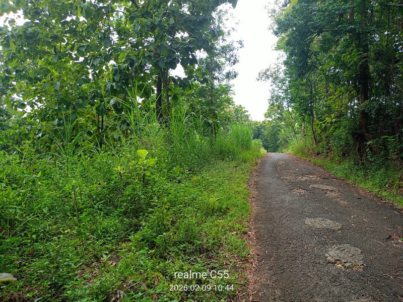 Lahan Luas 1 Hektar Lebih di Jalur Utama Patuk Dengan Rumah & Pohon Jati, Beji, PAtuk, Gunung Kidul