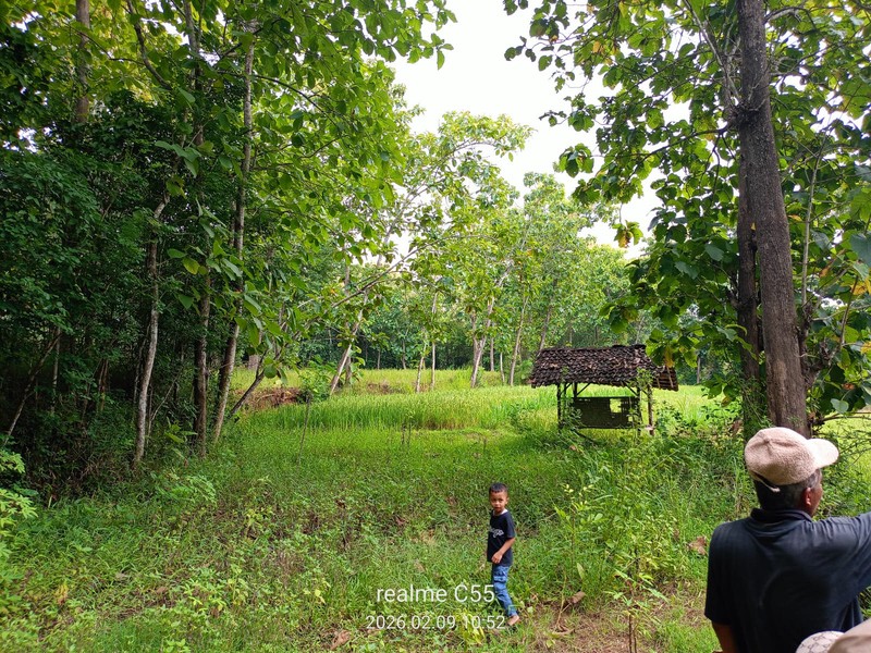 Lahan Luas 1 Hektar Lebih di Jalur Utama Patuk Dengan Rumah & Pohon Jati, Beji, PAtuk, Gunung Kidul