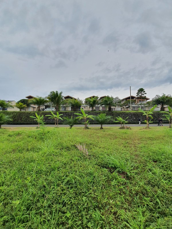 Freehold - Rare oppotunity exclusive land with rice field views and riverside in Green Lot, Cemagi, Bali 