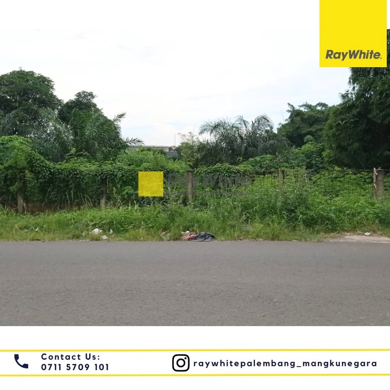 Tanah di sewakan  daerah sukabangun 