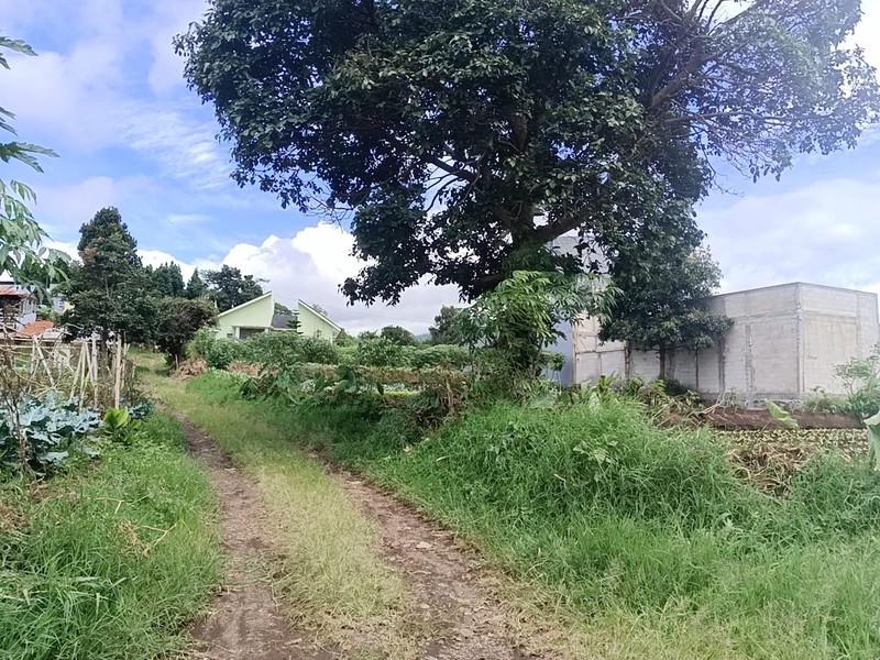 Tanah di sariwangi atas dekat sariwangi highland , cocok untuk investasi view indah 