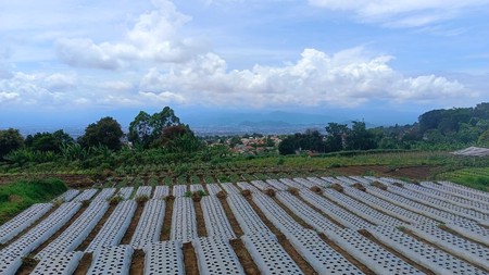 Tanah di sariwangi atas dekat sariwangi highland , cocok untuk investasi view indah 
