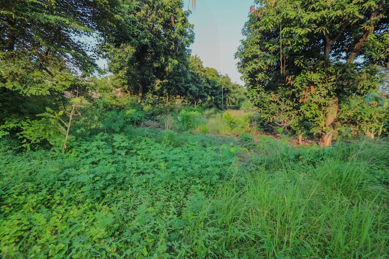 Tanah 5000m2 Karang Tengah, Dekat Green Lake City, Metland Puri 