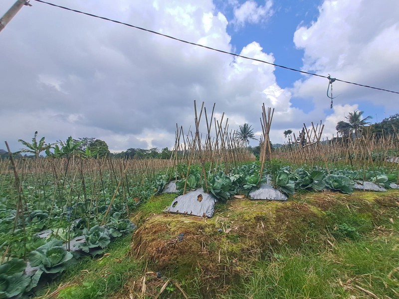Tanah di Wanayasa Purwakarta, akses mudah ke Bojong, Babakancikao