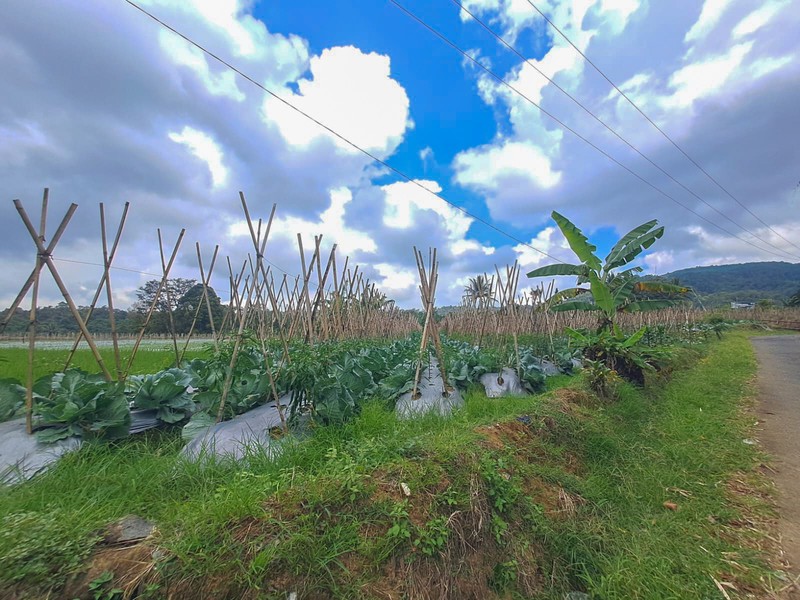 Tanah di Wanayasa Purwakarta, akses mudah ke Bojong, Babakancikao