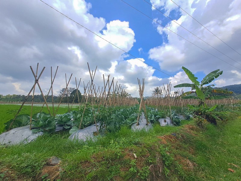 Tanah di Wanayasa Purwakarta, akses mudah ke Bojong, Babakancikao