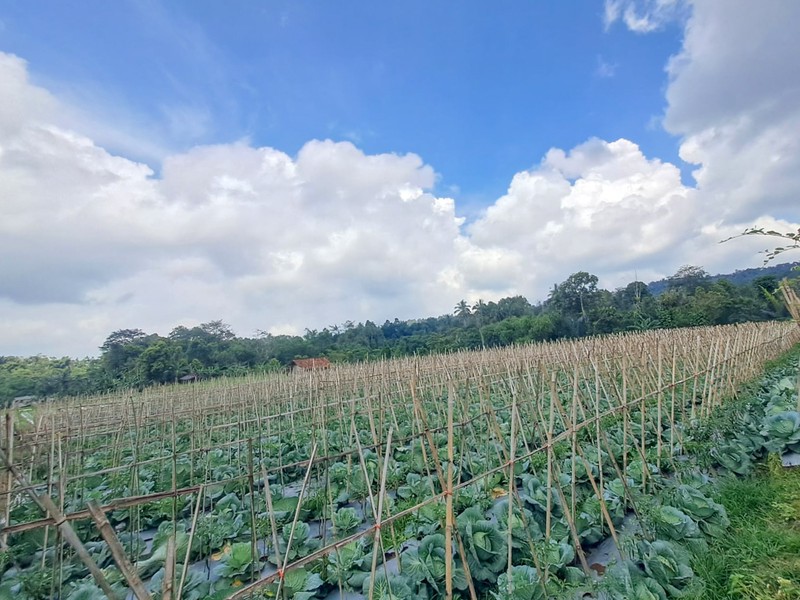 Tanah di Wanayasa Purwakarta, akses mudah ke Bojong, Babakancikao