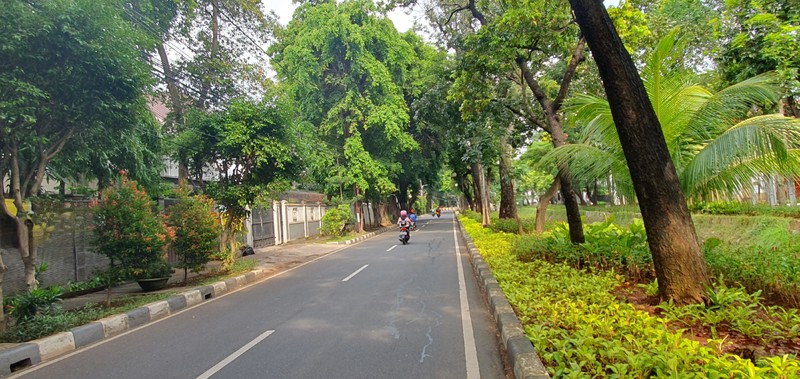 Pesona rumah lama yang elok. Teduh & nyaman di daerah elite Sutan Syahrir, Menteng. Luas 722 m2. Jalan depan rumah lebar.