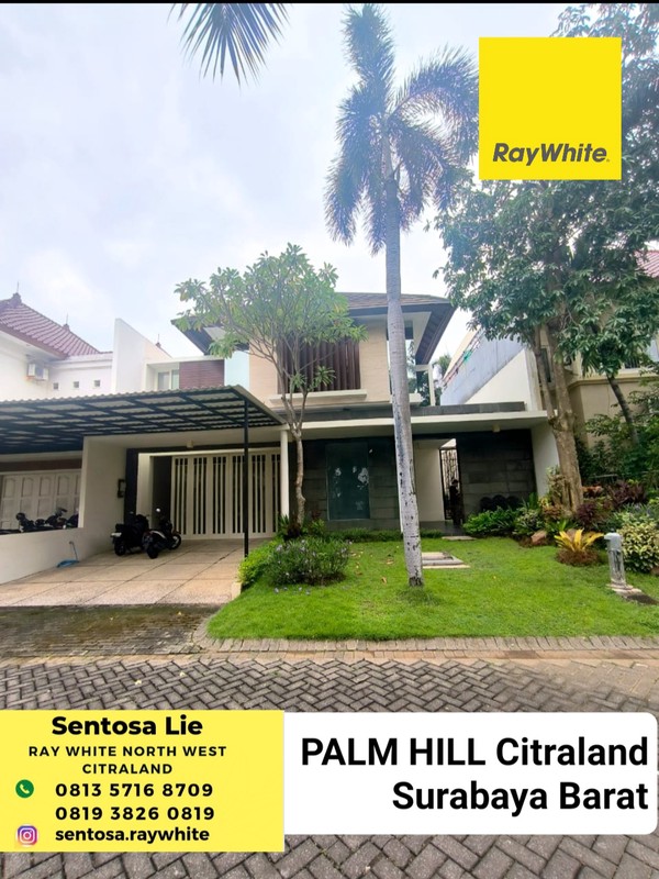 Disewakan Rumah Palm Hill Citraland Surabaya Barat Lokasi Terdepan Dekat Sekolah Ciputra , Sekolah Sis, Gwalk, Patung Merlion