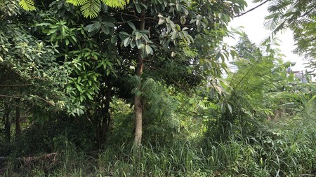 Kavling Siap Bangun Di Jl Merapi, Serua Ciputat Tangerang Selatan