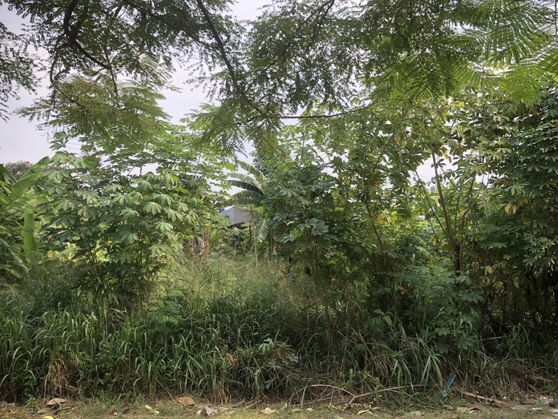 Kavling Siap Bangun Di Jl Merapi, Serua Ciputat Tangerang Selatan