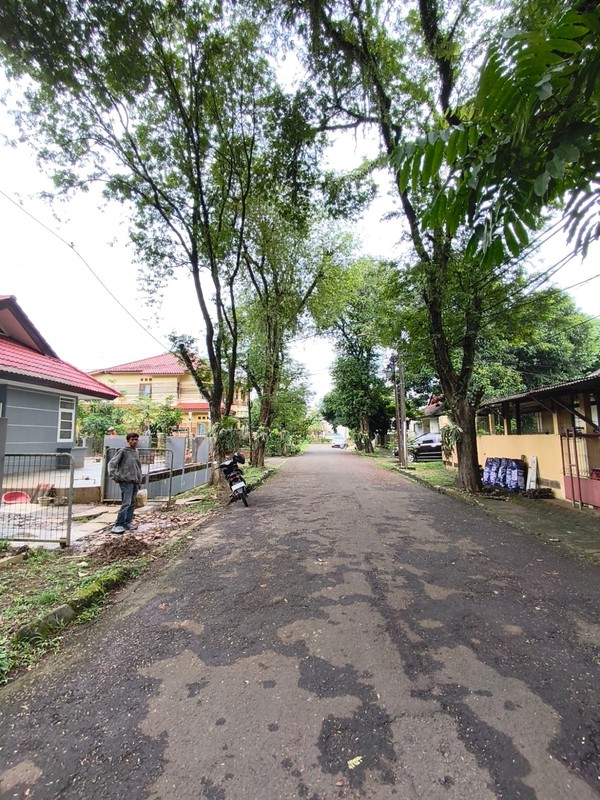 disewa rumah strategis halaman besar renovasi rapih siap huni griya loka jalan palm bintang bsd city tangerang selatan banten