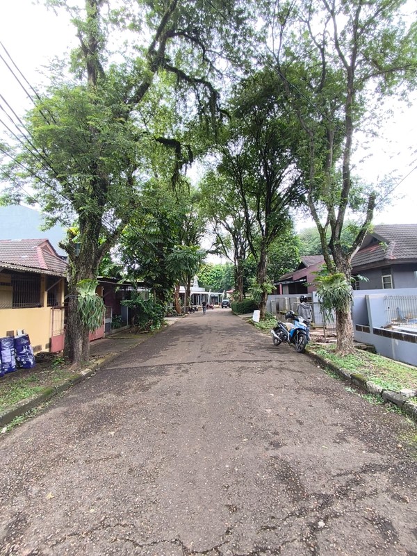 disewa rumah strategis halaman besar renovasi rapih siap huni griya loka jalan palm bintang bsd city tangerang selatan banten