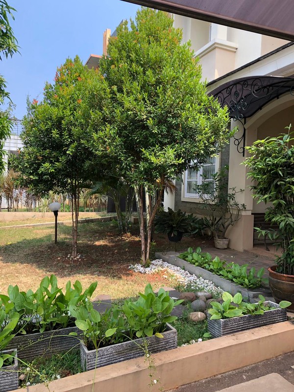 Di Sewakan Rumah 2 lantai Hijau dengan atmosfer segar di Kotawisata