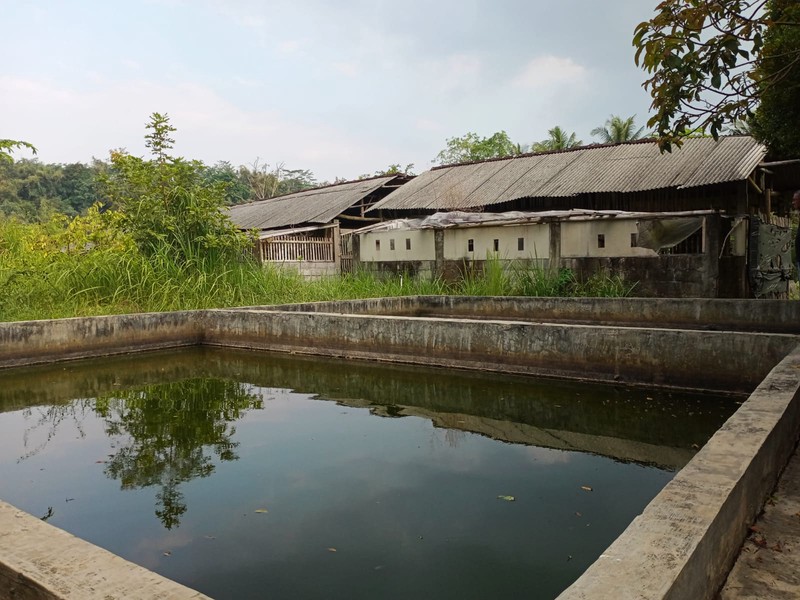 Dijual Hunian Asri & Luas Udara Sejuk, View Desa, Potensi Homestay, di Bandongan Magelang