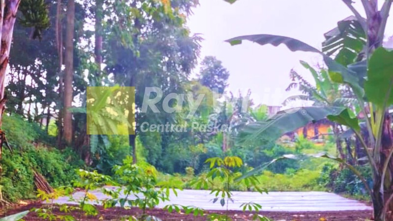 Tanah di Kampung Tugu Ciumbuleuit