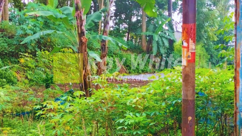 Tanah di Kampung Tugu Ciumbuleuit