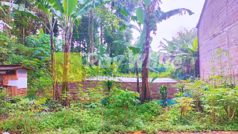 Tanah di Kampung Tugu Ciumbuleuit