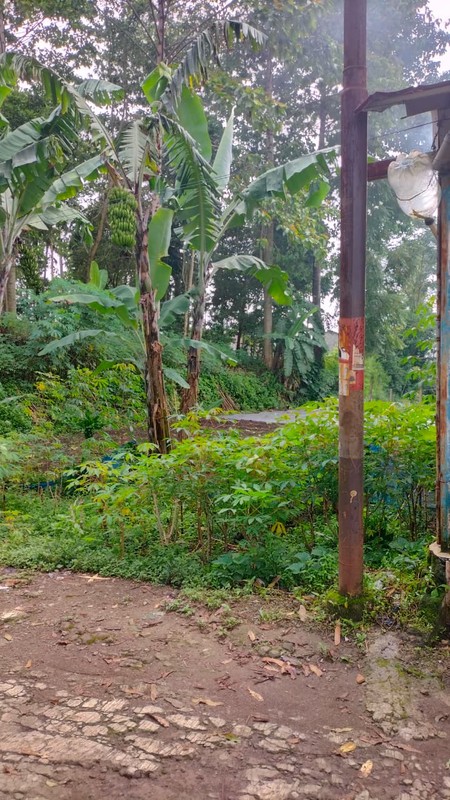 Tanah di Kampung Tugu Ciumbuleuit