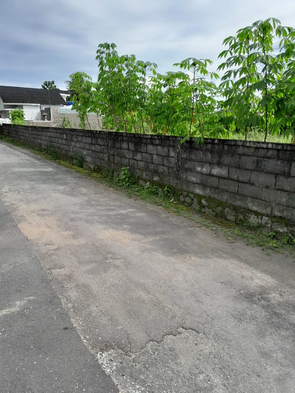 Dijual Tanah Pekarangan Luas & Strategis di Turi, Sleman  Cocok Untuk Hunian atau Investasi