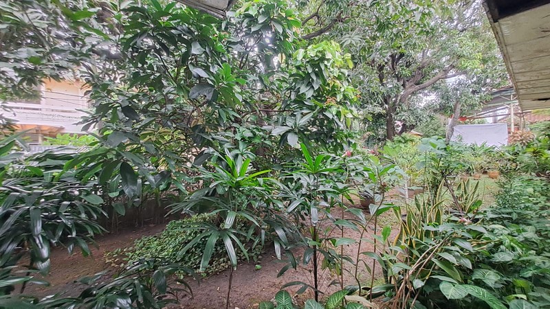 Rumah di Pluit, Penjaringan dekat Pluit Putri, Pluit Barat, Timur