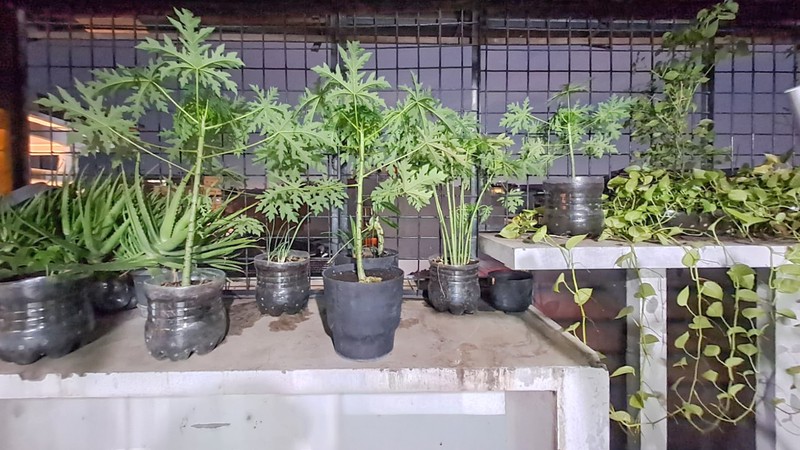 Ruko di Pluit, Penjaringan dekat Pluit Putri, Pluit Barat, Timur