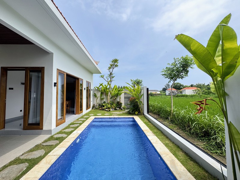 BRAND NEW PRIVATE POOL VILLA IN LOVINA
