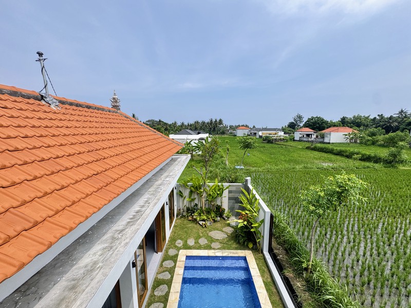 BRAND NEW PRIVATE POOL VILLA IN LOVINA