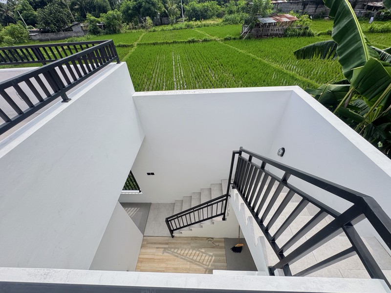 BRAND NEW PRIVATE POOL VILLA IN LOVINA