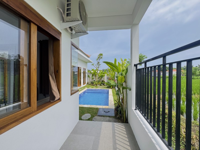 BRAND NEW PRIVATE POOL VILLA IN LOVINA
