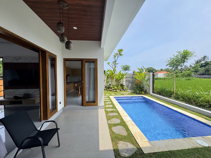 BRAND NEW PRIVATE POOL VILLA IN LOVINA