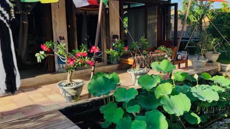 Villa Leasehold Pool and Gardens near Canggu Beaches Bali