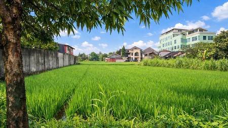 Dijual Tanah Jl. Palagan KM 9.5 Area Ramai, Cocok untuk Bisnis & Kuliner, Sariharjo, Ngaglik, Sleman