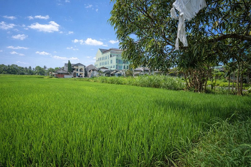 Dijual Tanah Jl. Palagan KM 9.5 Area Ramai, Cocok untuk Bisnis & Kuliner, Sariharjo, Ngaglik, Sleman