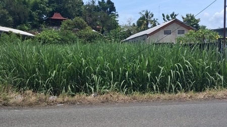 Lahan Produktif 628 Meter Persegi di Tirtonirmolo, Kasihan, Bantul Akses Jalan 4 Meter & Dekat Pusat Kota