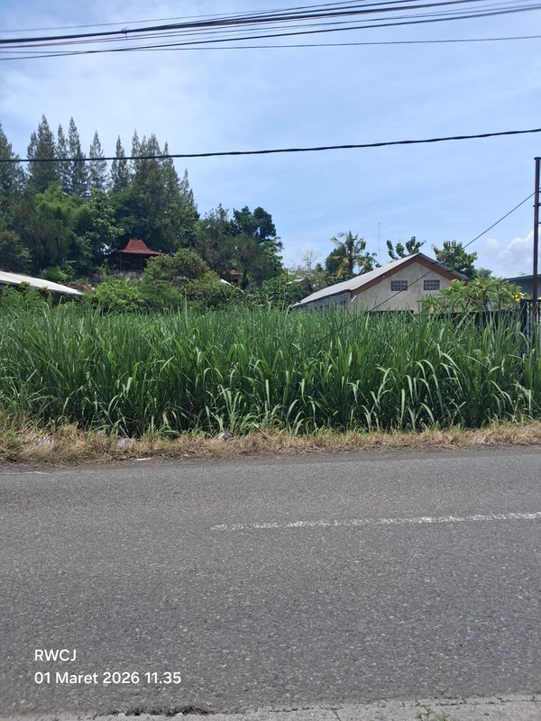 Lahan Produktif 628 Meter Persegi di Tirtonirmolo, Kasihan, Bantul Akses Jalan 4 Meter & Dekat Pusat Kota