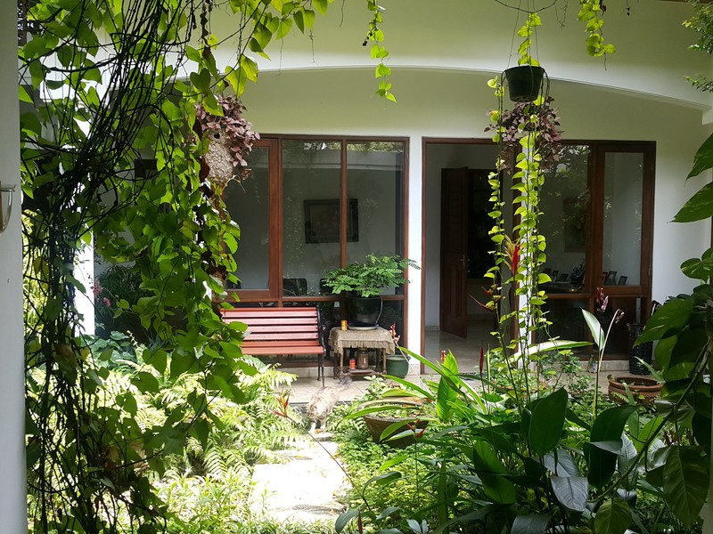 Rumah Luas 1.910 M² di Pondok Labu Halaman Besar & Akses Strategis