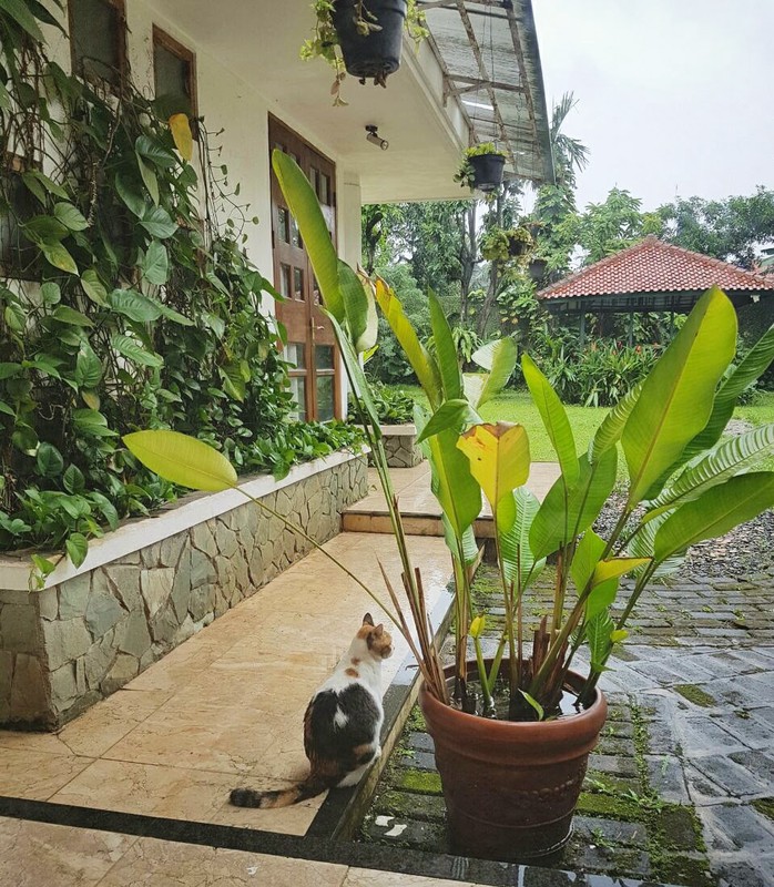 Rumah Luas 1.910 M² di Pondok Labu Halaman Besar & Akses Strategis