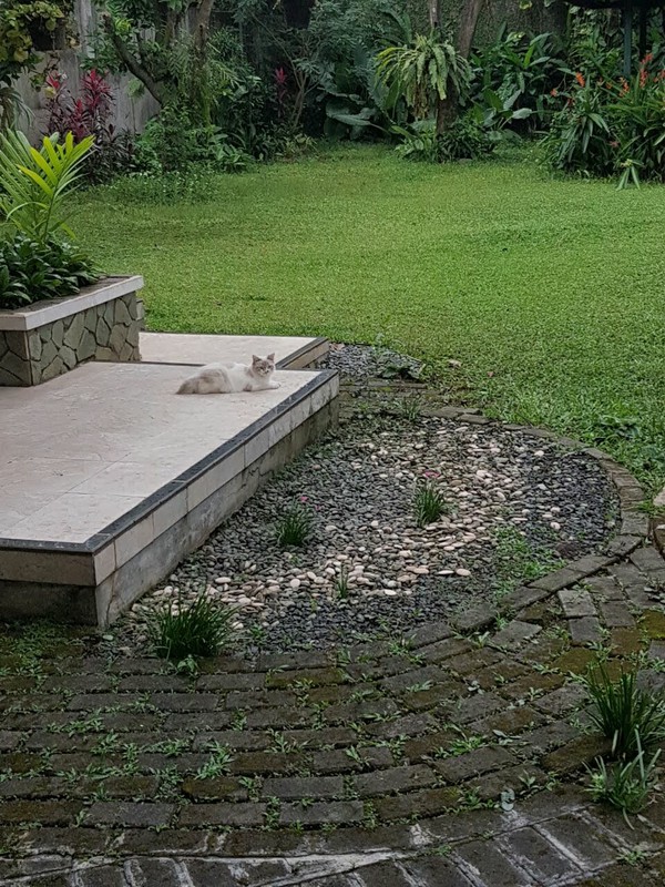 Rumah Luas 1.910 M² di Pondok Labu Halaman Besar & Akses Strategis