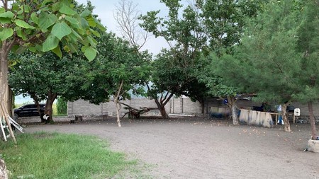 Tanah Tepi Pantai Kuranji Lompok Barat Nusa Tenggara Barat