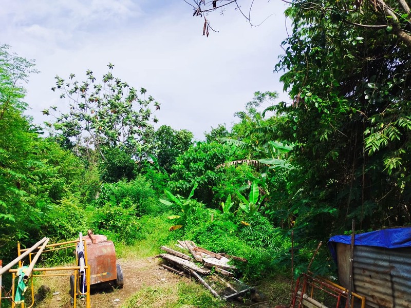 Investasi Tanah Sawah Strategis Mangku Jl. Ring Road Barat Area Berkembang, Banyuraden, Gamping, Sleman