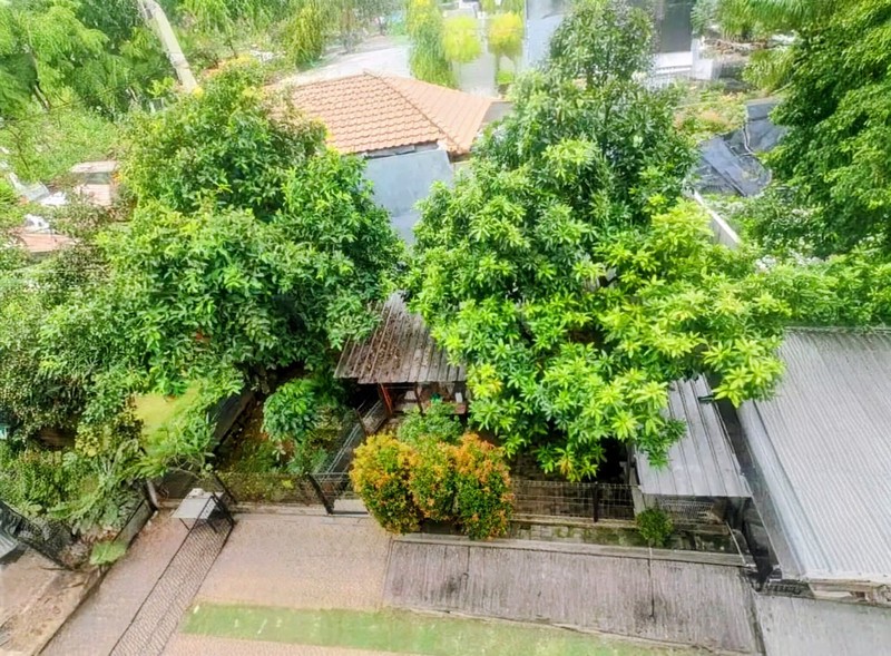 Kavling siap Bangun di Bintaro Jaya 9