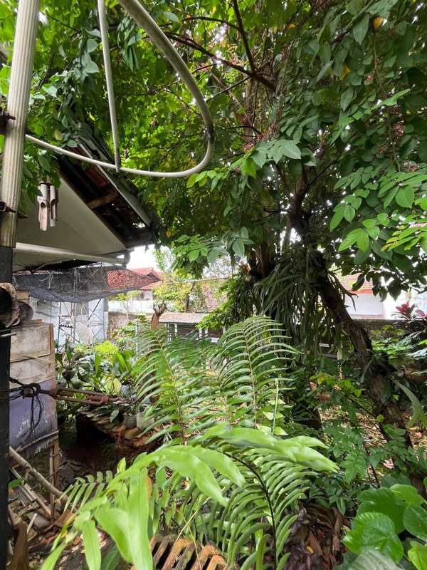 Rumah Hitung Tanah Dalam Komplek Nyaman dan Terdepan di Cinere