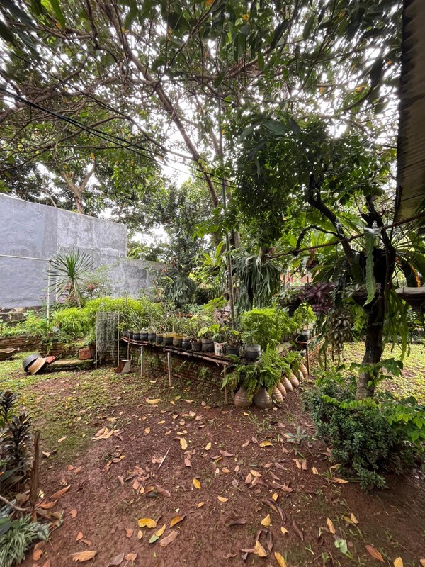 Rumah Hitung Tanah Dalam Komplek Nyaman dan Terdepan di Cinere