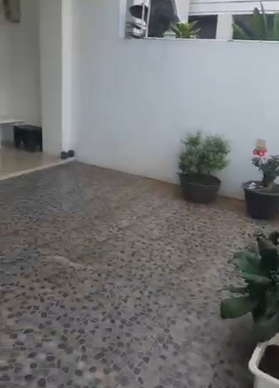 Di Sewa Rumah- kondisi sangat terawat. 