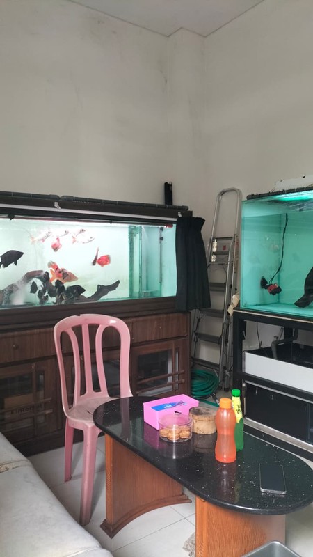 Rumah Siap Huni di Basalamah Bandung